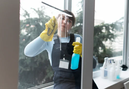 Nettoyage de vitres intérieures et extérieures à la Chartre-sur-le-Loir